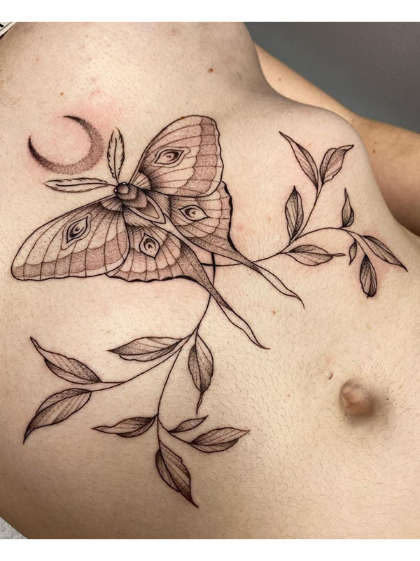 moth sternum tattoo - 2