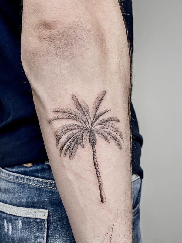 palm tree tattoo for men