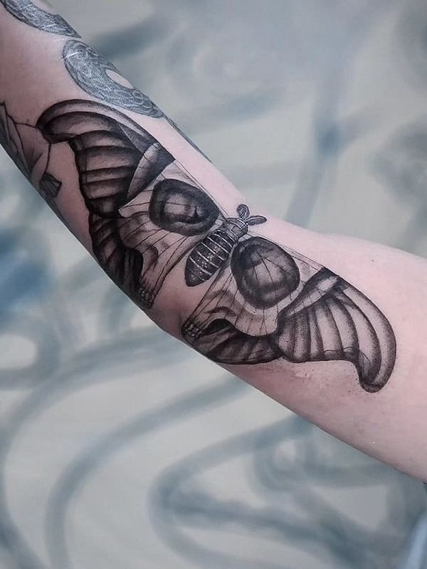 skull moth tattoo