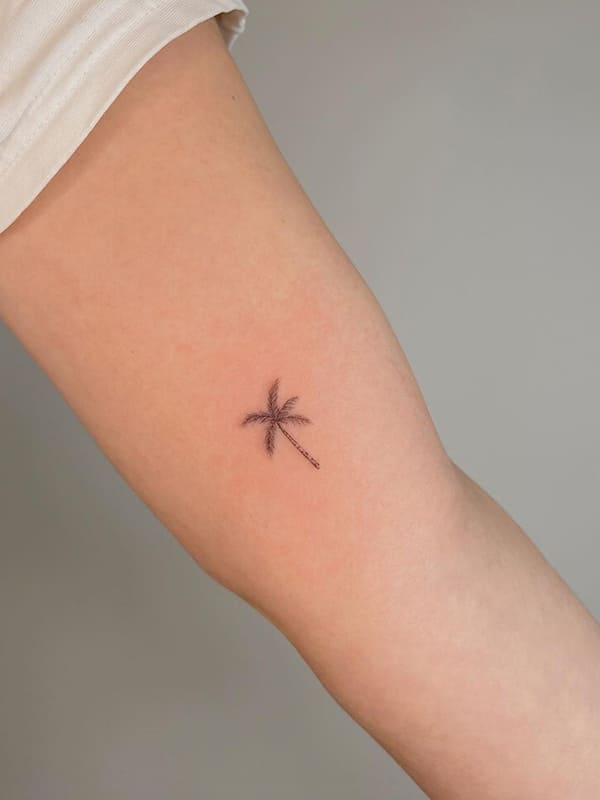 small palm tree tattoo