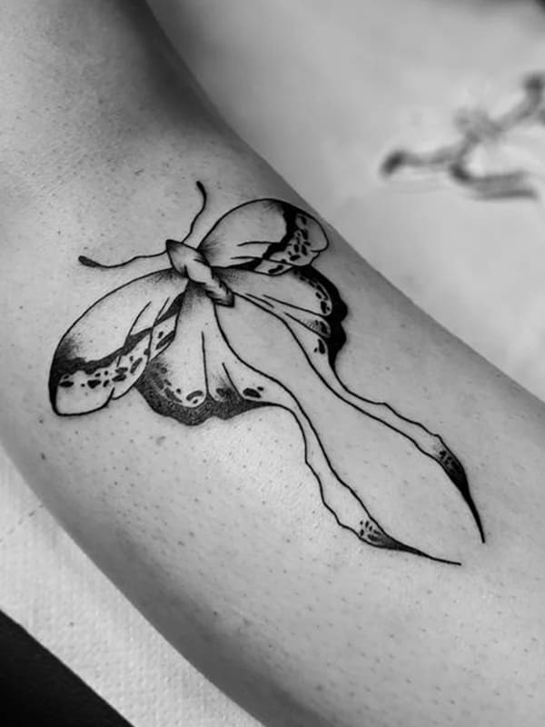 black moth tattoo