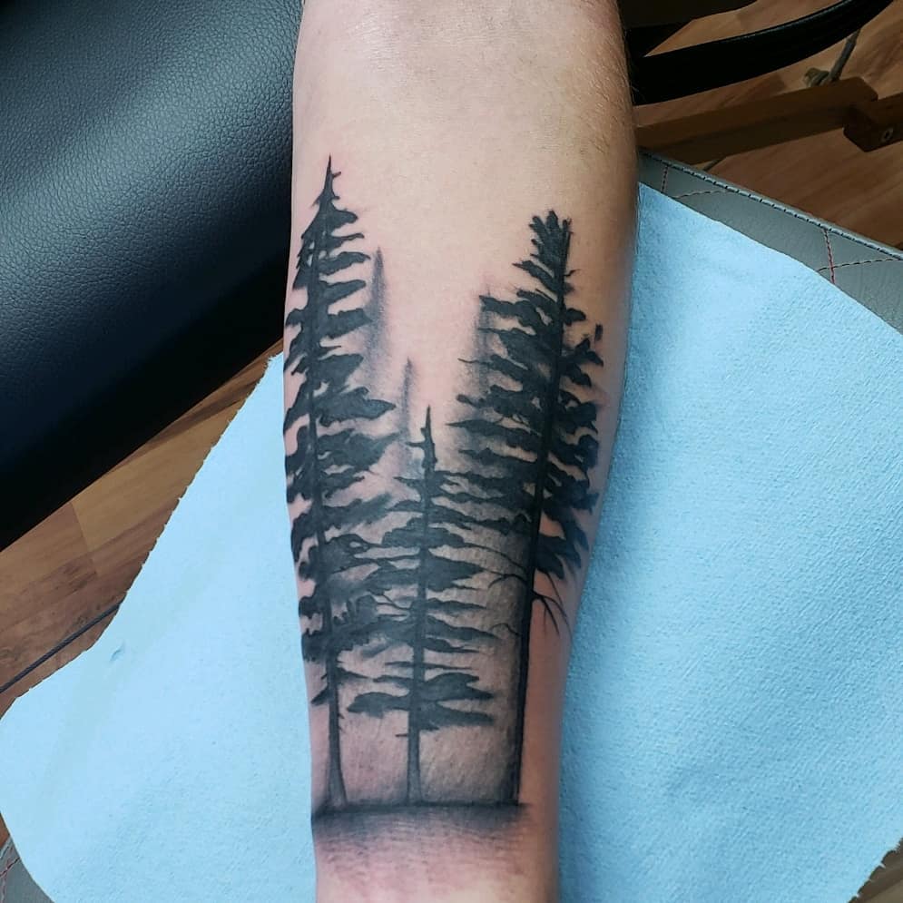 Simple and Easy Pine Tree Tattoo – Designs & Meanings (2019) - Page 47 of  60 - tracesofmybody .com