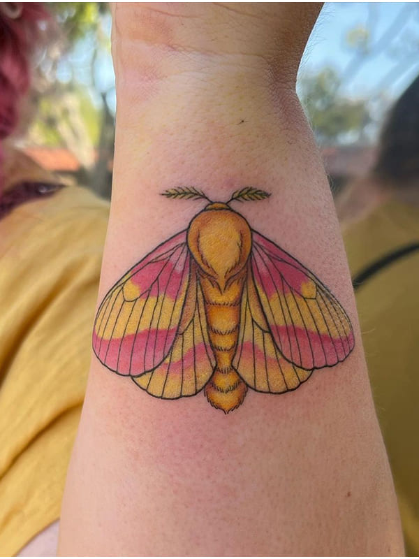 rosy maple moth tattoo